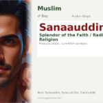 Sanaauddin Name Meaning and Details