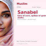 Sanabel Name Meaning and Details