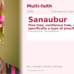 Sanaubur Name Meaning and Details