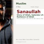 Sanaullah Name Meaning and Details