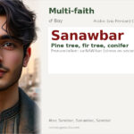 Sanawbar Name Meaning and Details