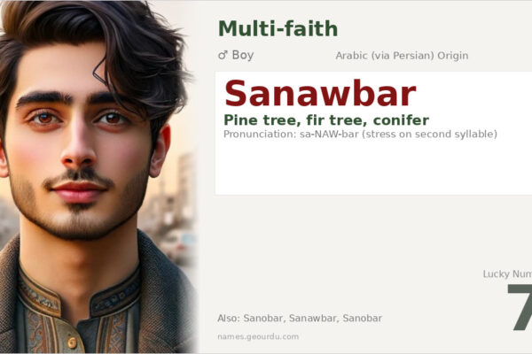 Sanawbar Name Meaning — Arabic Origin, Boy’s Name & Details (2025)