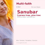 Sanubar Name Meaning and Details