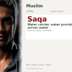 Saqa Name Meaning and Details