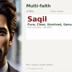 Saqil Name Meaning and Details