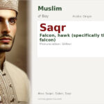 Saqr Name Meaning and Details