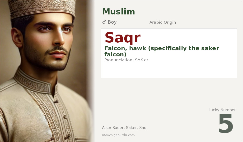 Saqr Name Meaning and Details