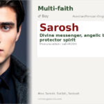 Sarosh Name Meaning and Details