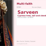 Sarveen Name Meaning and Details