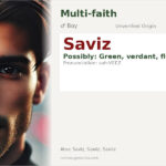 Saviz Name Meaning and Details
