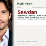 Sawdan Name Meaning and Details