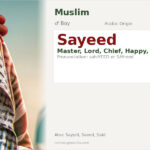 Sayeed Name Meaning and Details