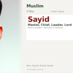 Sayid Name Meaning and Details