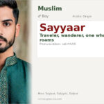 Sayyaar Name Meaning and Details