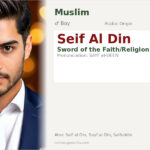Seif Al Din Name Meaning and Details