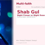 Shab Gul Name Meaning and Details