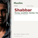 Shabbar Name Meaning and Details