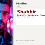 Shabbir Name Meaning and Details