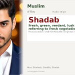 Shadab Name Meaning and Details