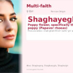 Shaghayegh Name Meaning and Details