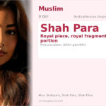 Shah Para Name Meaning and Details