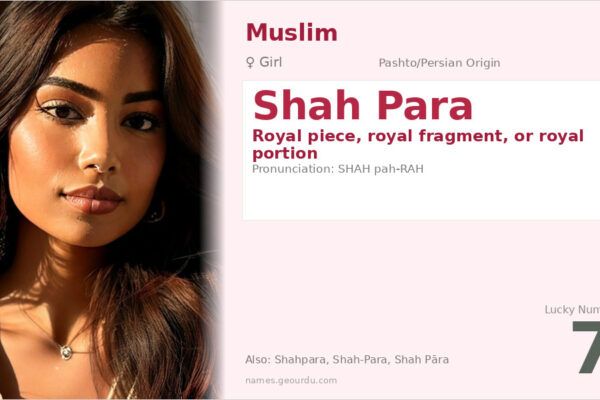 Shah Para Name Meaning — Royal Piece Origin & Details (2025)