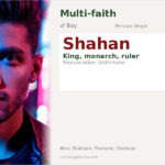 Shahan Name Meaning and Details