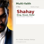Shahay Name Meaning and Details