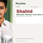 Shahid Name Meaning and Details