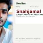Shahjamal Name Meaning and Details