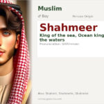 Shahmeer Name Meaning and Details