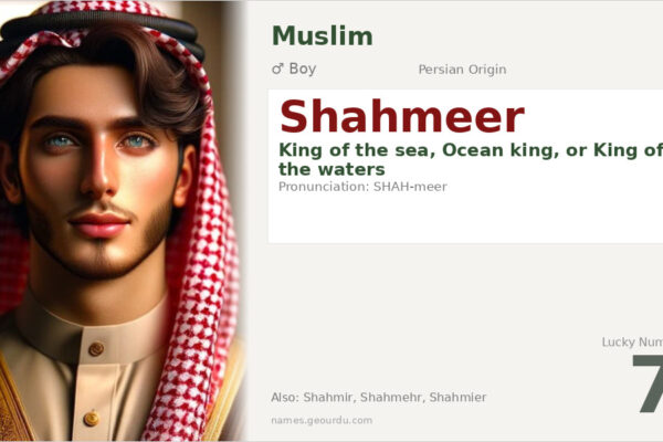 Shahmeer Name Meaning — Persian Origin, Boy Name & Details (2025)