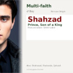 Shahzad Name Meaning and Details