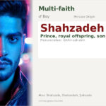 Shahzadeh Name Meaning and Details