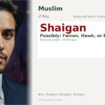Shaigan Name Meaning and Details