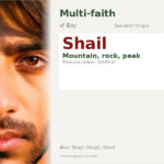 Shail Name Meaning and Details