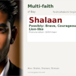 Shalaan Name Meaning and Details