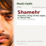 Shamehr Name Meaning and Details
