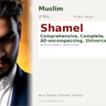 Shamel Name Meaning and Details