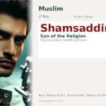Shamsaddin Name Meaning and Details