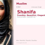Shanifa Name Meaning and Details