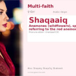 Shaqaaiq Name Meaning and Details