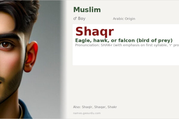 Shaqr Name Meaning — Arabic Origin, Boy’s Name & Eagle Symbolism (2025)