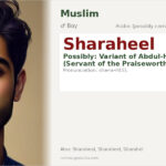 Sharaheel Name Meaning and Details