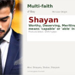Shayan Name Meaning and Details
