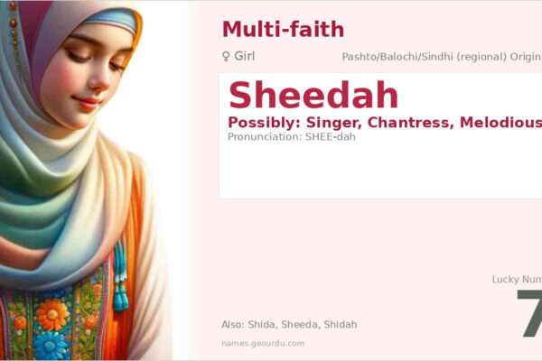 Sheedah Name Meaning — Origin, Gender & Details (2025)