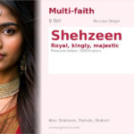 Shehzeen Name Meaning and Details
