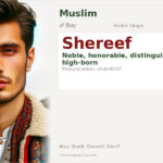Shereef Name Meaning and Details
