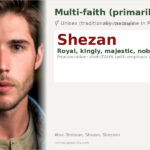 Shezan Name Meaning and Details