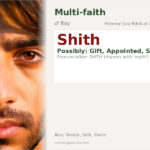 Shith Name Meaning and Details